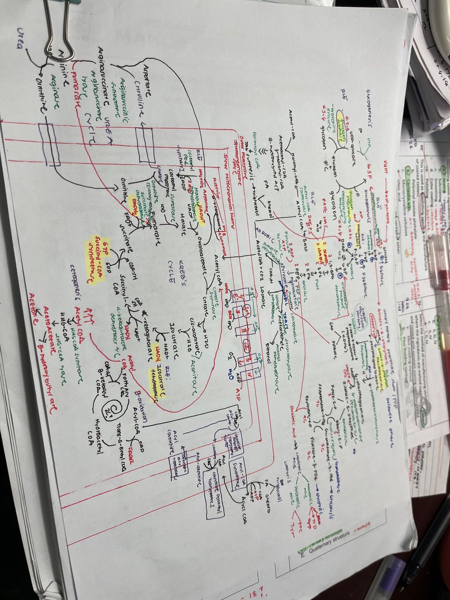 macroldes's tweet image. recalled everything about sa mga pathways in one setting, sana madala until sa boards🤞🤟
