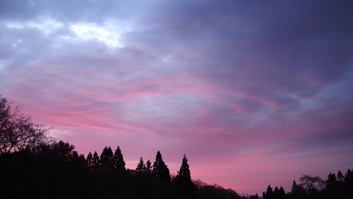 川村にゃ子 on X