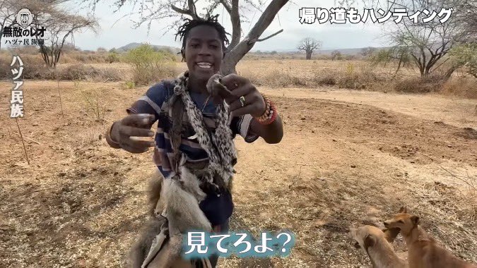 無敵のレオ tweet media