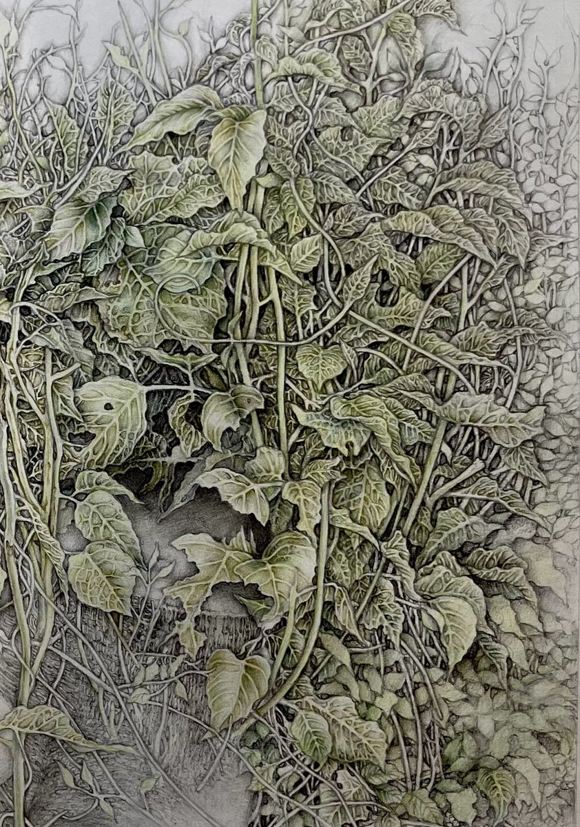 Ayaka YAMADA 山田彩加 (@YAMAD_ART) / Posts / X