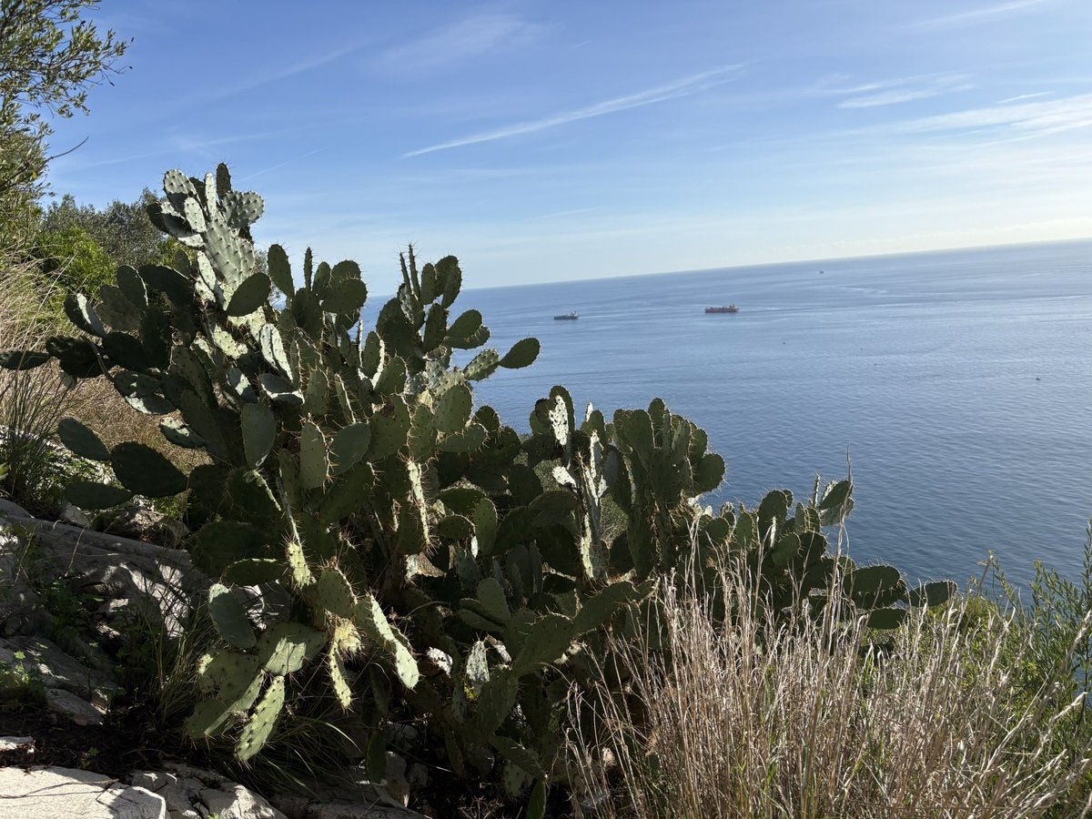 Paul Hayward tweet media