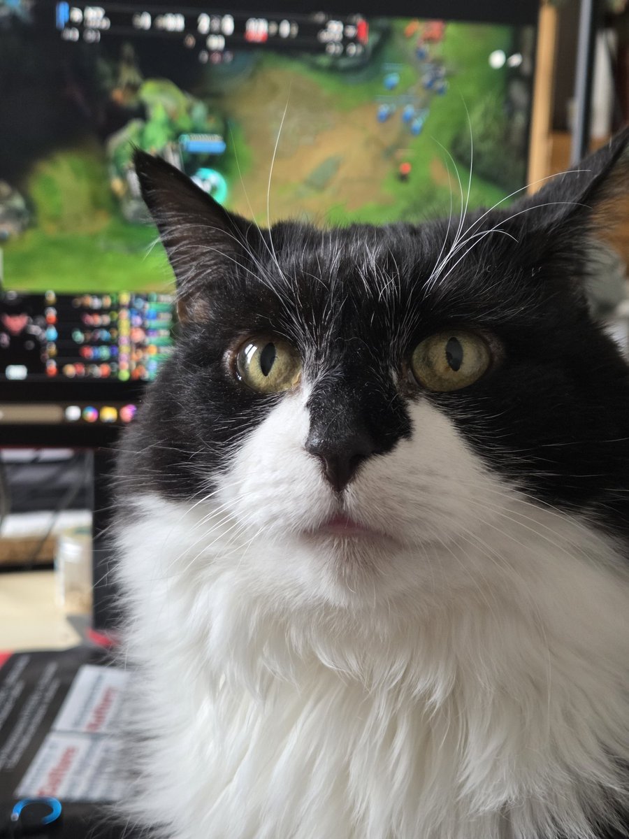 League Expertin Mila sagt nun 3:2 für T1 statt 3:0