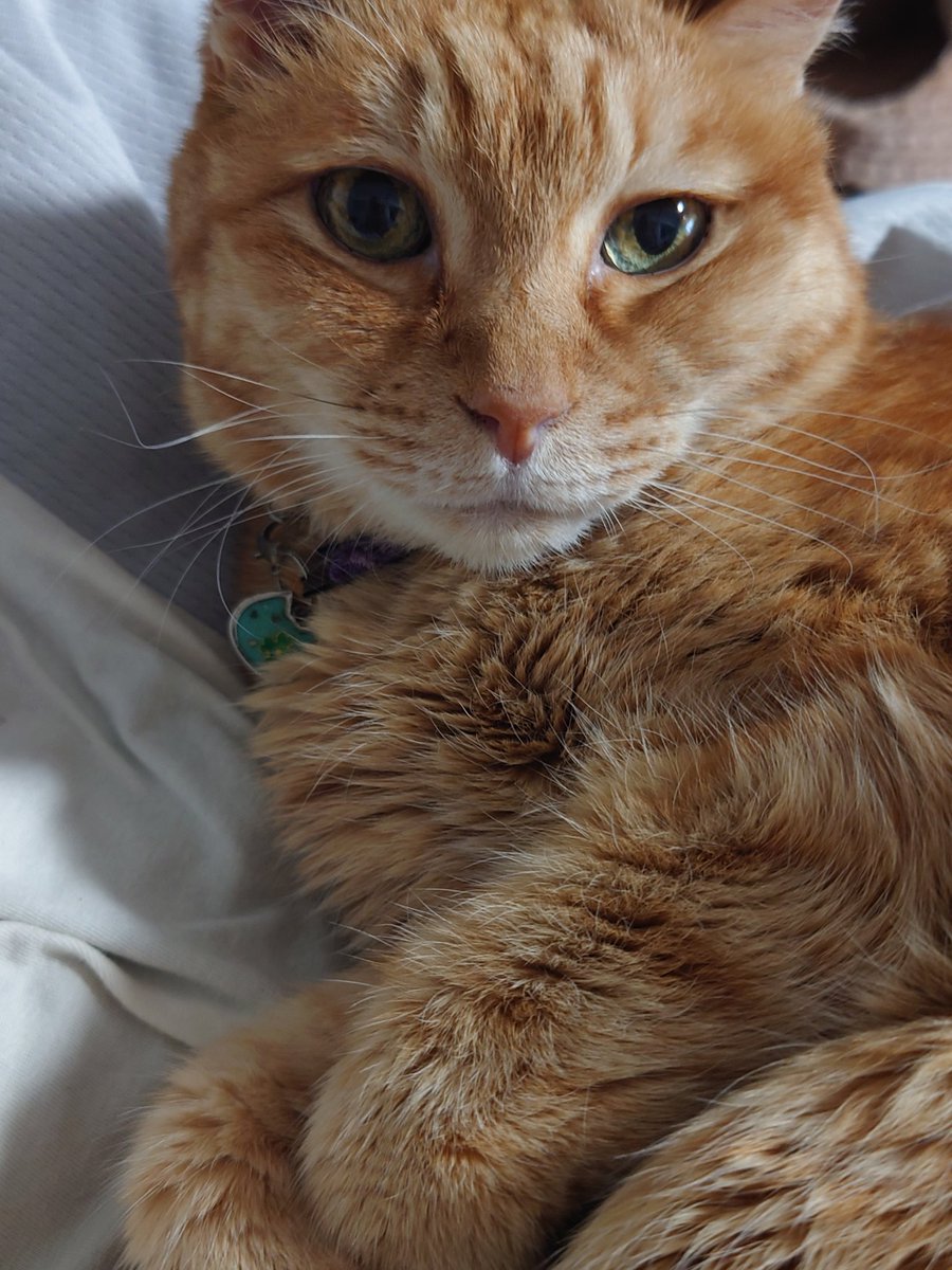 株式会社WONDER1996 on X