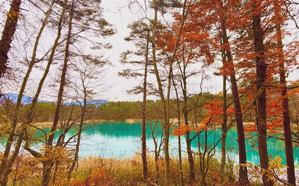 熊鈴を鳴らして秋の五色沼ハイキング🍁🐻🐾
沼ごとに雰囲気が違って神秘的だった
熊に出会わなくて良かった！！！😮‍💨

ニョロゾが住んでそう