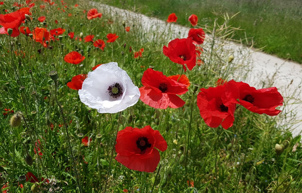 Nadine Hanwell (@nadinehanwell) on Twitter photo 