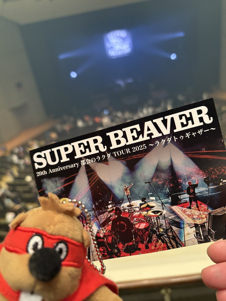 SUPERBEAVER パネル SUPER BEAVER パネル super beaver パネル SUPERBEAVER パネル ZX | Z