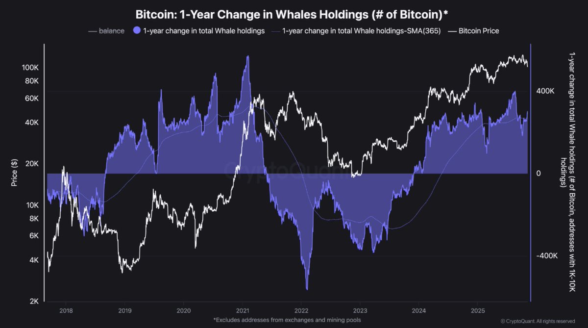 SW Pro App, SWQAI Pro App und StockWave liefern Stabilität.bvp