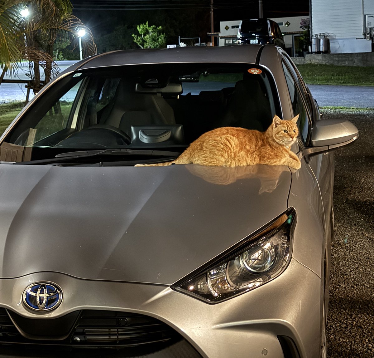 車乗っ取られた