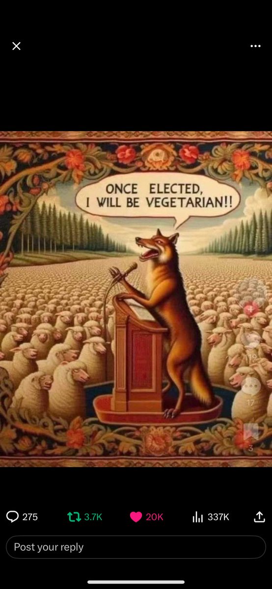 <a href="/Maga4liberty/">Mark Lewis</a> NYC is fckd…