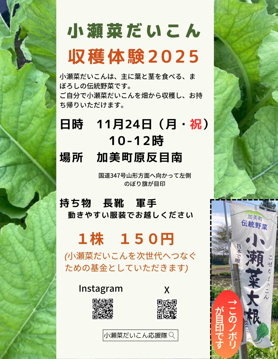KamiKozena's tweet photo. 今年の収穫体験は、

11月24日　月曜日㊗️
に開催します。

お出かけください。 https://t.co/JLSObUHWrO