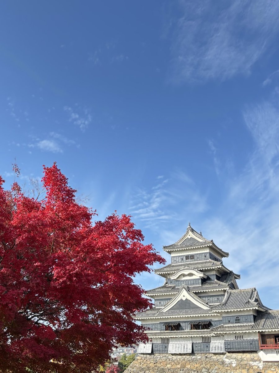 sonata0225's tweet image. Matsumoto Castle and autumn foliage.🏯🍁

#AutumnInJapan #FallColors 
#MatsumotoCastle #JapanCastle