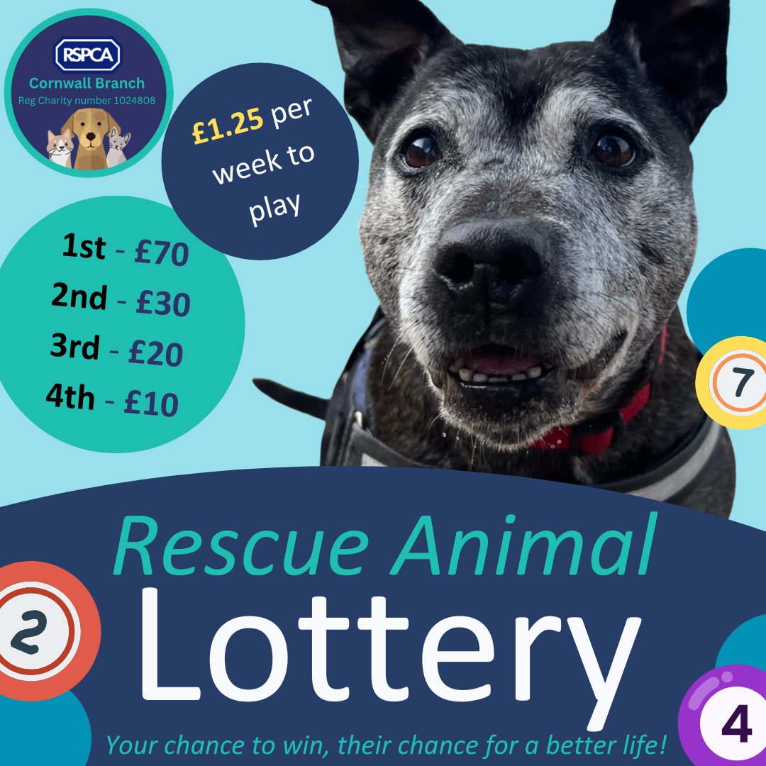 RSPCA Cornwall tweet media