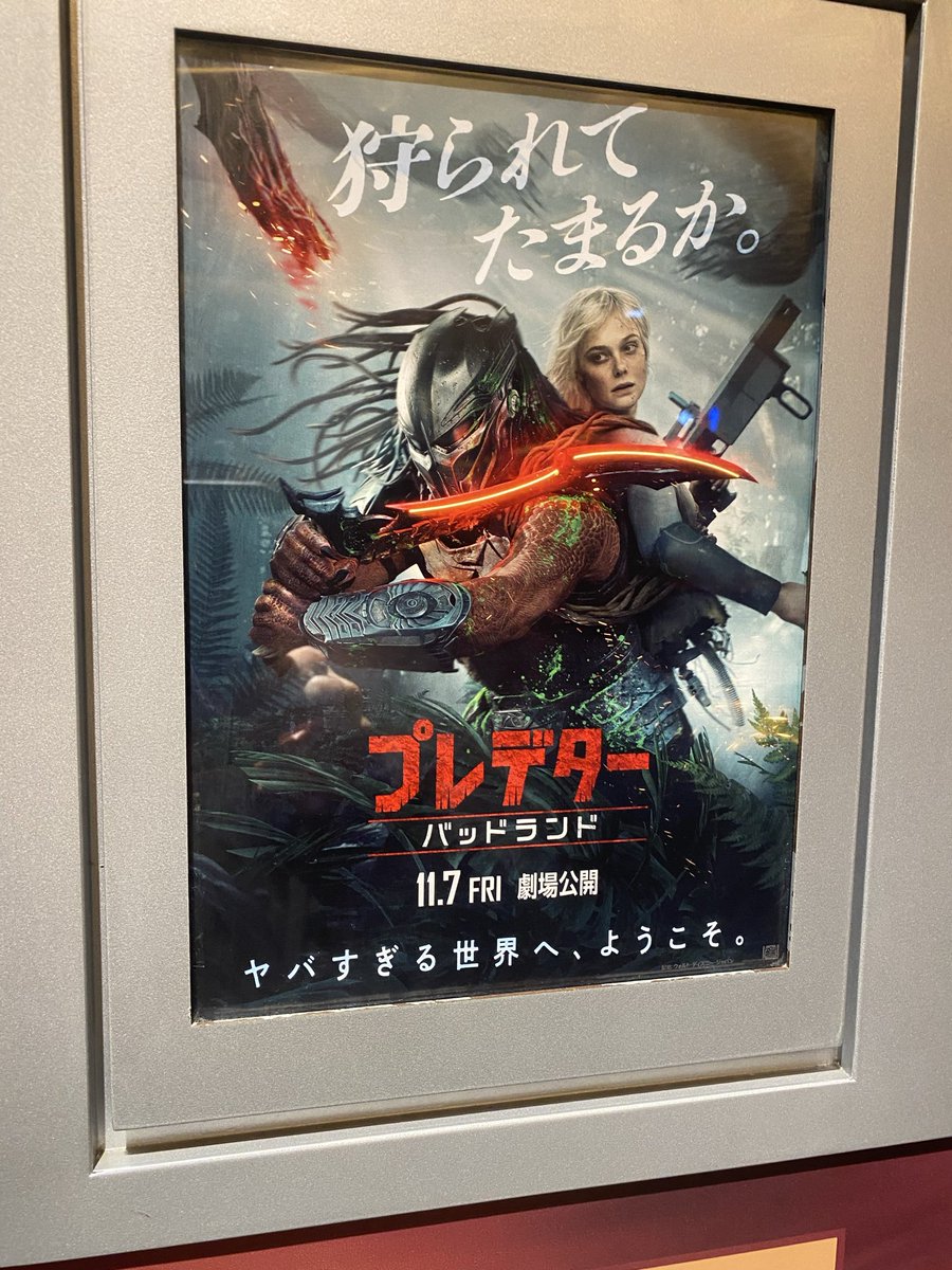 電気羊のグルーチョ (@YZ0lSMc2KaVJGwA) / Posts / X