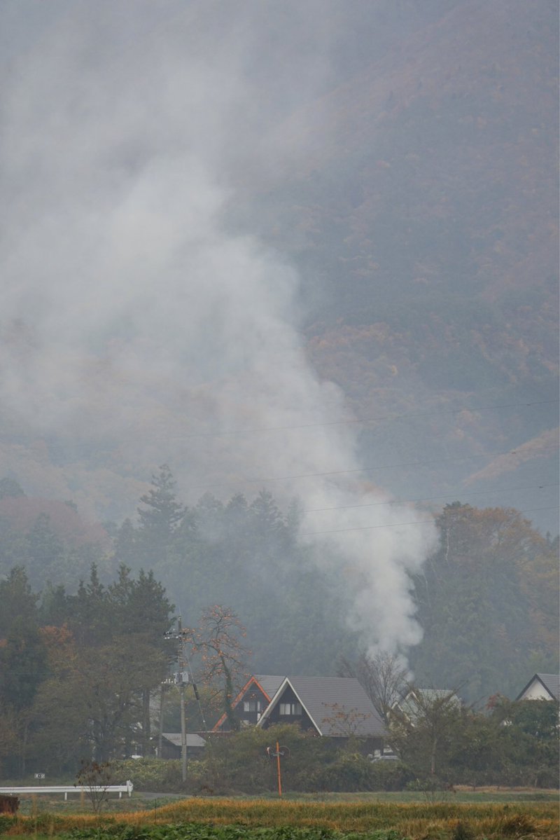 giantrogo's tweet image. 寒い日曜日