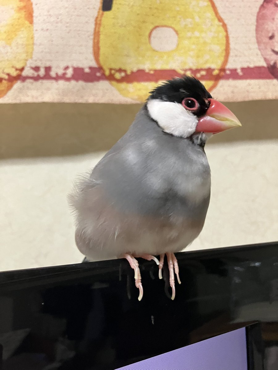 ッアーーーーーー

スンッ………