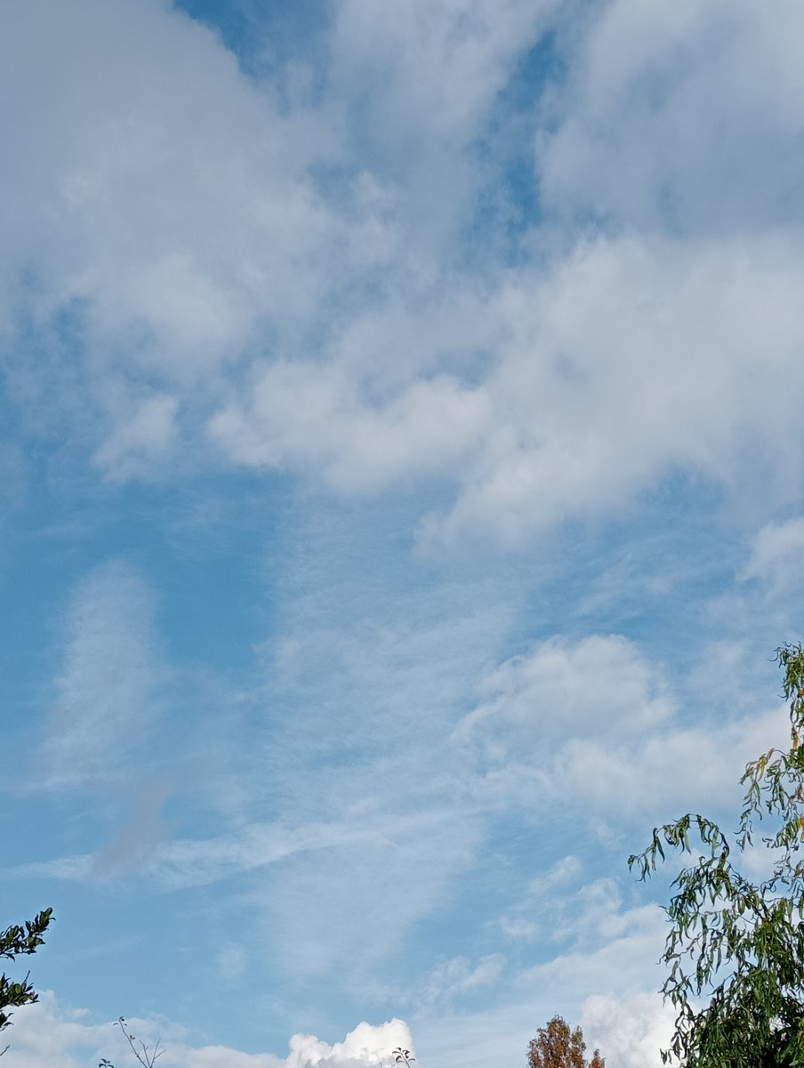 Lavante21575499's tweet image. The Netherlands, November 9th. 🤢🤮😷😷As soon as it clears, this happens. Every time. #geoengineering #bioterrorism #HAARP #NEXRAD #DOPPLER #EISCAT