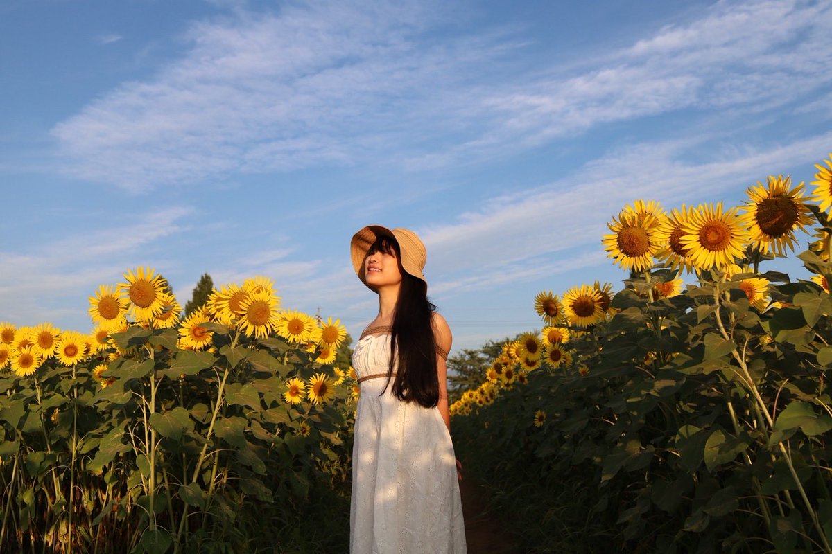 🍑告知🍑
2025.11/25（火）　
縄カフェ出演します！

仲良くさせていただいている棗さんつきちゃんペアと、ちょっと面白い試みをする予定です🤭

予約はわたしへDMか、縄カフェ公式<a href="/nawacafeRYO/">縄カフェNawa Cafe 公式アカウント</a> へお願いします🙏
<a href="/DECABARZ/">DECABAR超(デカバースーパー)</a>  <a href="/toki_510/">toki</a>

関係ないけど、寒くなってきたのであたたかい夏の写真をどうぞ…