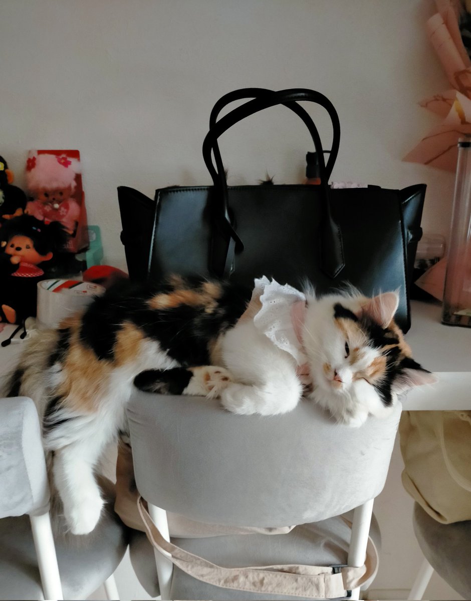 optimusempress's tweet image. do not disturb