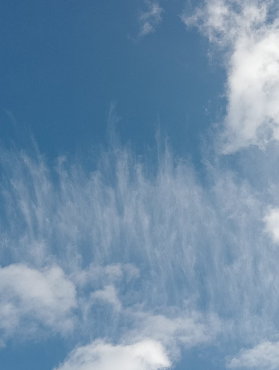 Lavante21575499's tweet image. The Netherlands, November 9th. 🤢🤮😷😷As soon as it clears, this happens. Every time. #geoengineering #bioterrorism #HAARP #NEXRAD #DOPPLER #EISCAT