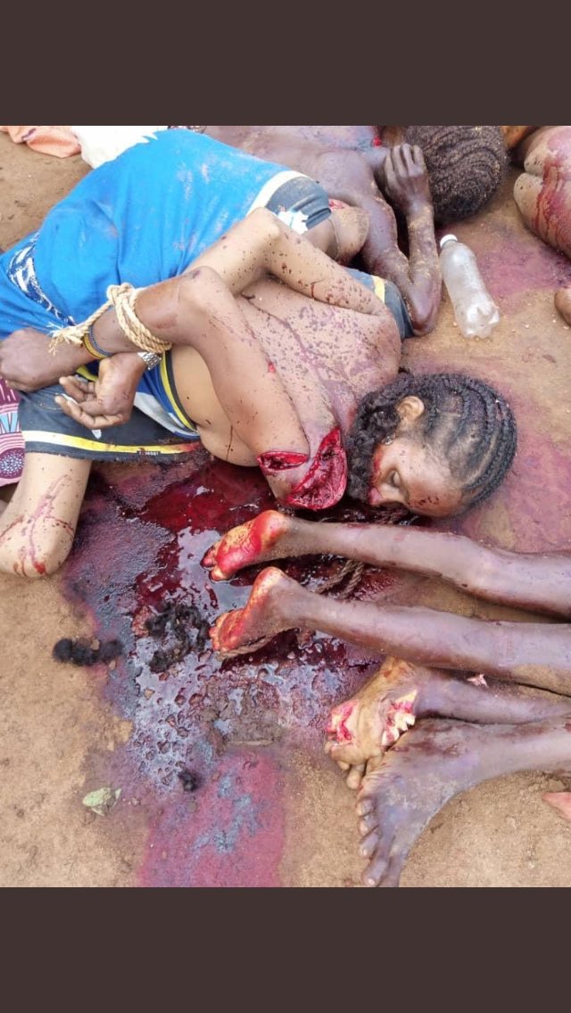 maybe we need to post this one also, how funlanies are drinking the blood of the armless Christian, dear <a href="/POTUS/">President Donald J. Trump</a> come now now now..