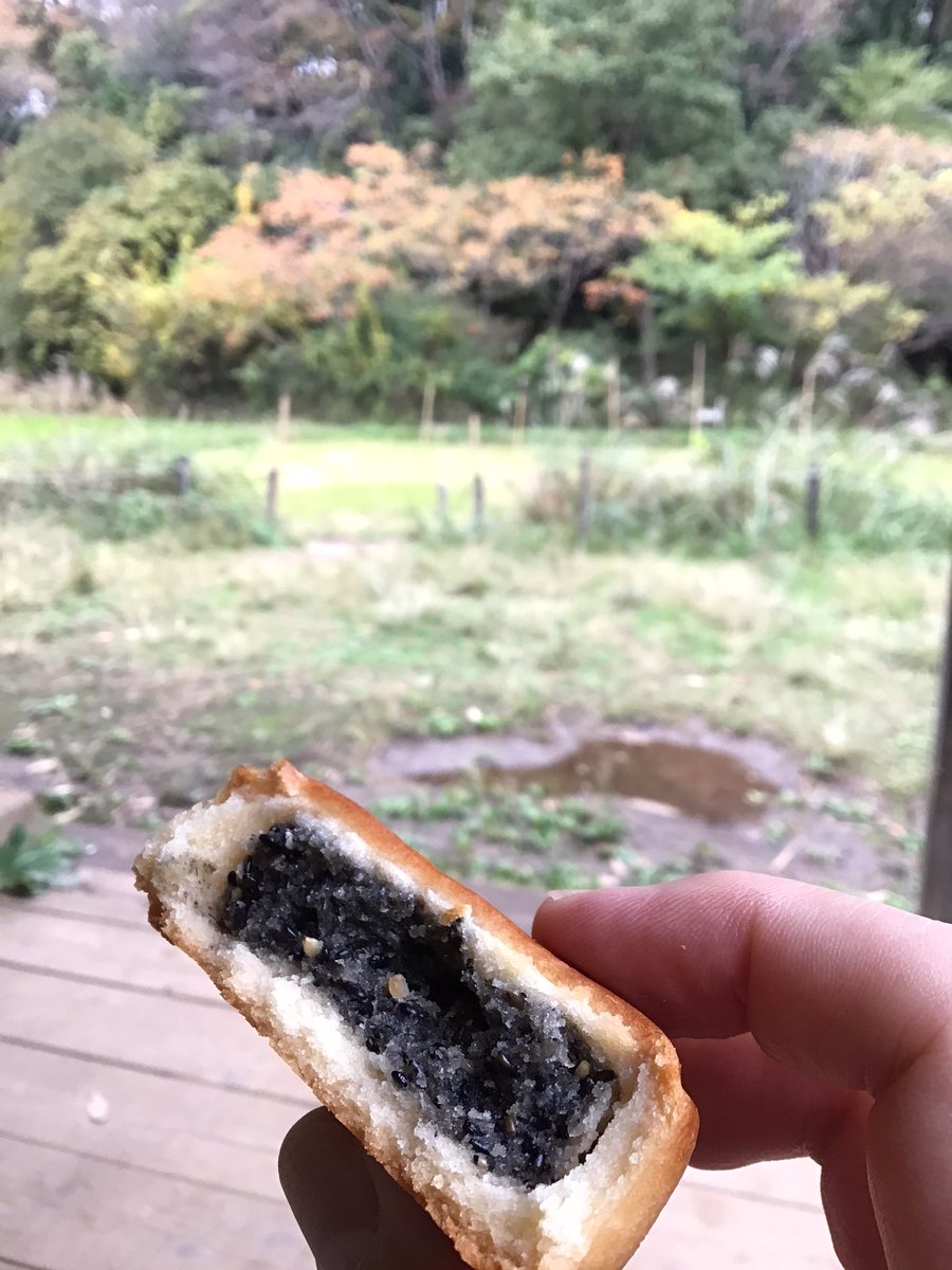 トンビート Tom 🇯🇵 on X