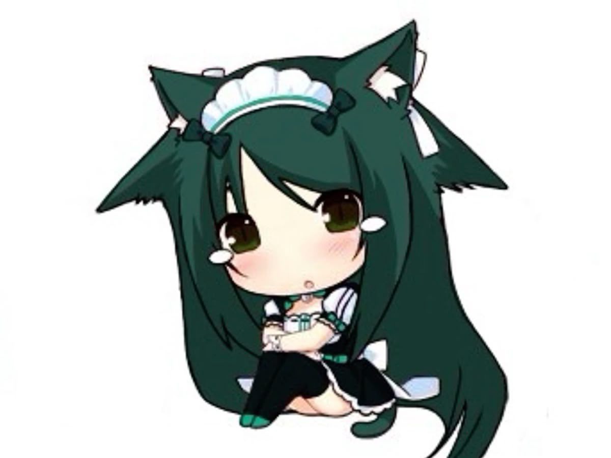 __sy__i_'s tweet image. 