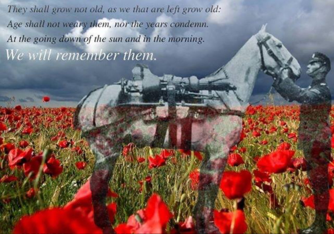 Scrimgeour_l's tweet photo. Lest we forget #RemembranceSunday #Animalstoo https://t.co/EJBsgpA3x9