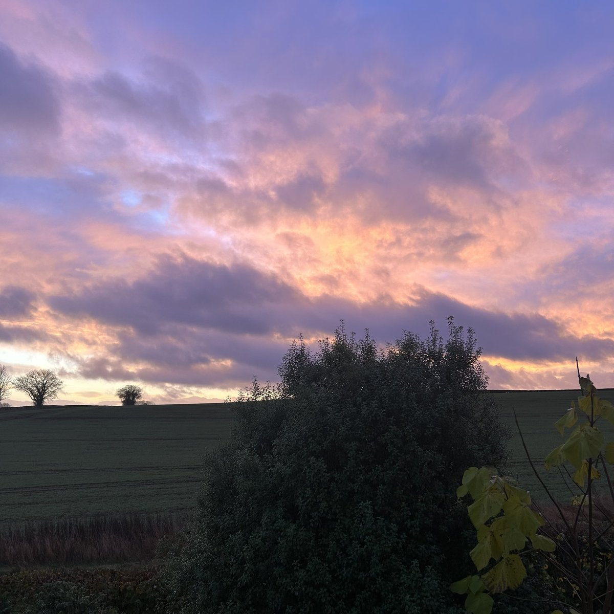 #earlierview #sky
Nice, innit 😊