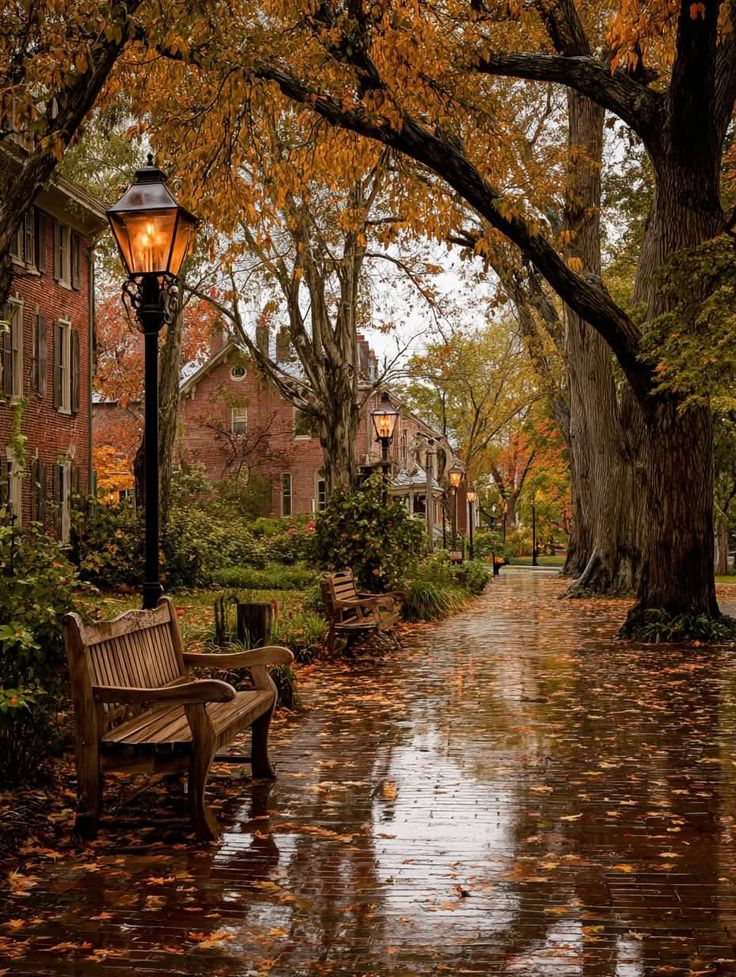irina3529's tweet photo. Morning.. 🍂🍀🍂 https://t.co/ToFH35VIY3