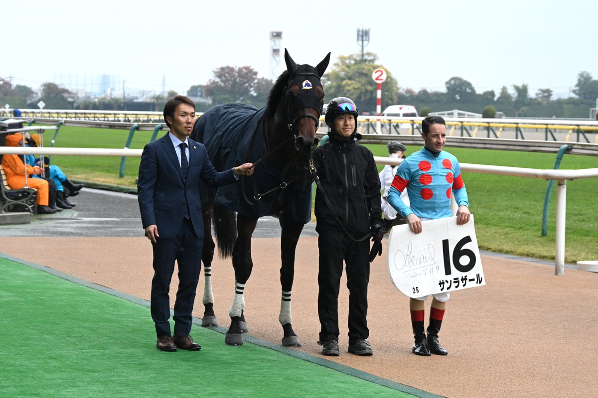 シルク・ホースクラブ（公式） (@SILKHCofficial) / Posts / X