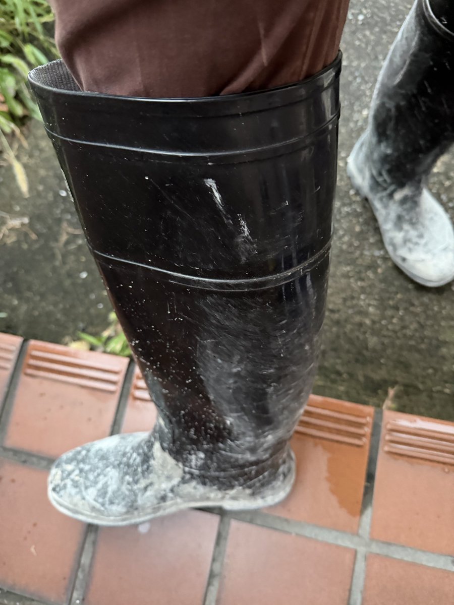 RB lover tweet media