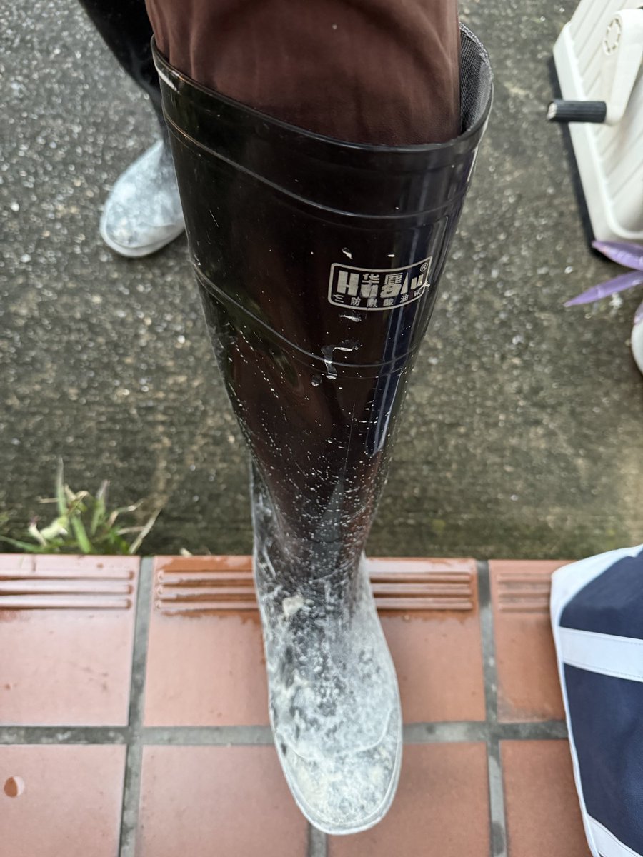 RB lover tweet media