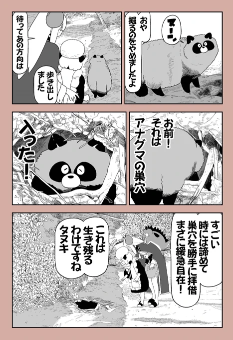 たぬきが生き残っている理由 