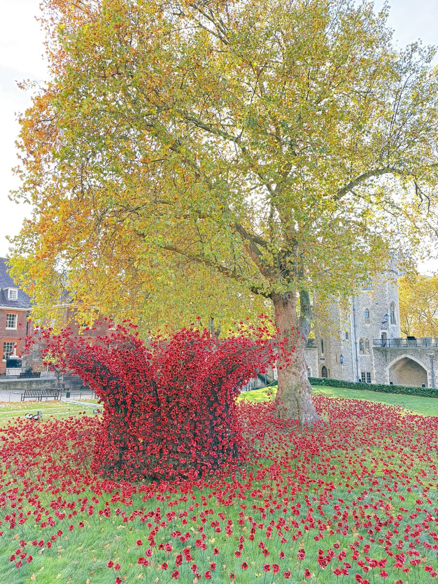 Kate Prior tweet media