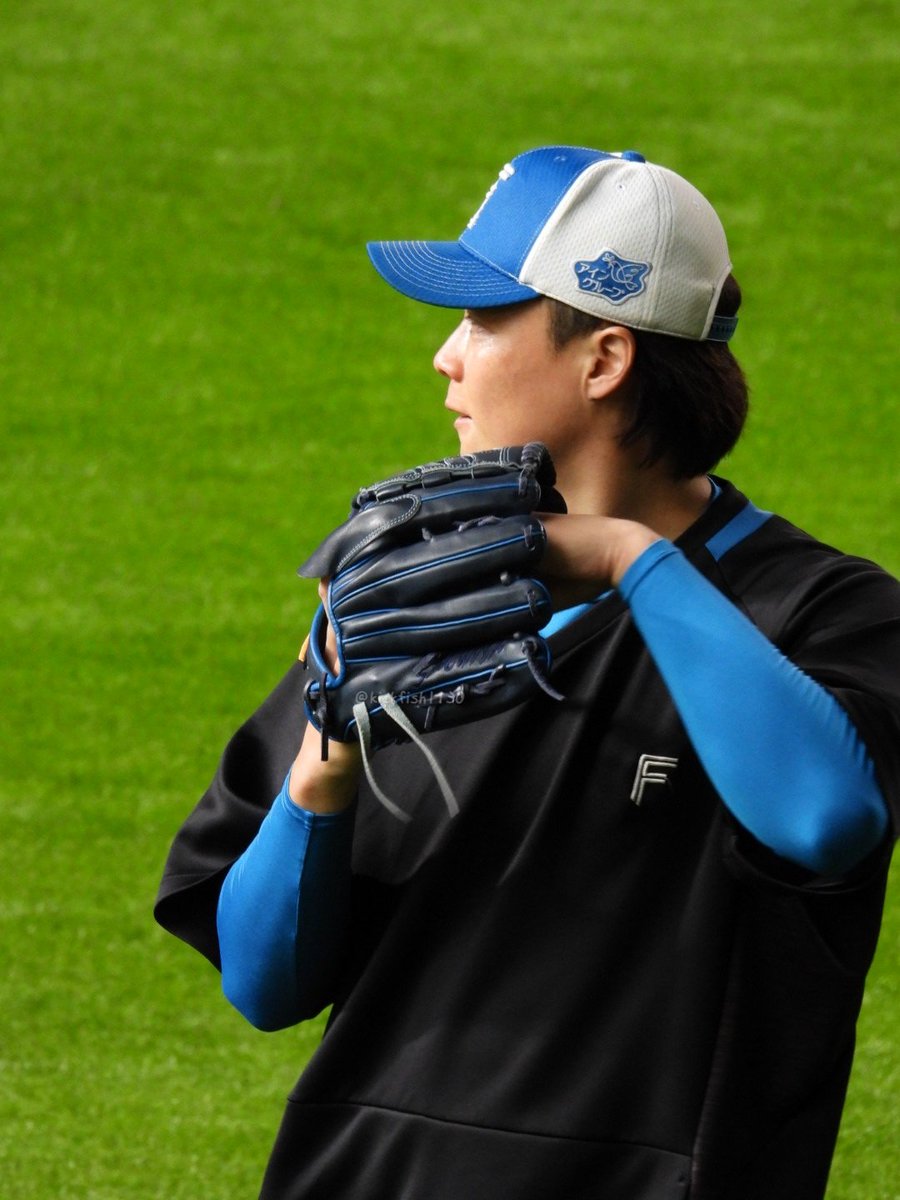 🐅おさかな姉やん🐿️ on X