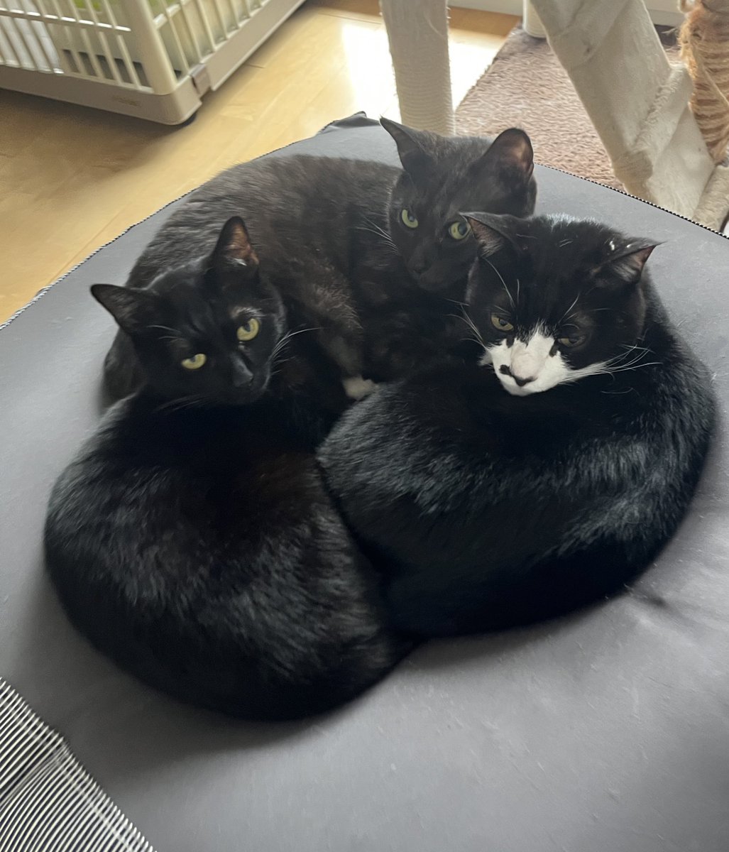 Tosakkoページ sakosako on X