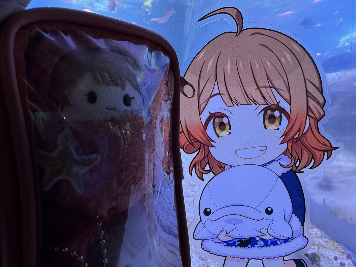 しろくろ (@sirokurokai) / Posts / X