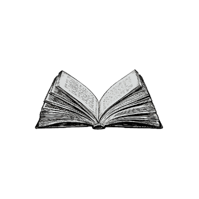 𝐍𝐀𝐒𝐒𝐈𝐑 tweet media