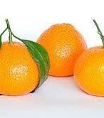 昨天和欧润吉🍊 tweet media