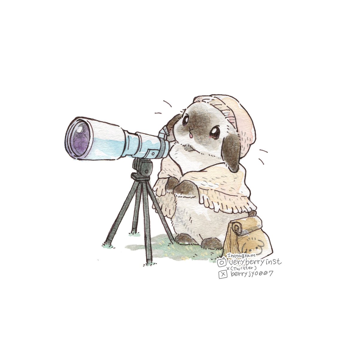 berryjyo007's tweet photo. うさぎさんのキャンプ🏕️
〜毎日投稿2111日目〜

おやつ持って

探しに行こ https://t.co/9DHWSisJbJ