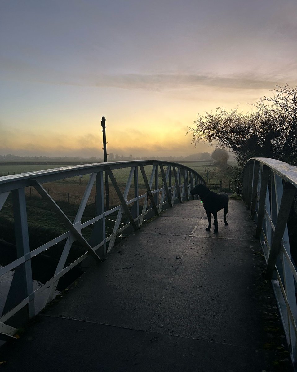 matthewbarberUK's tweet photo. Up before dawn for a walk at #WittenhamClumps. Lovely walk but a bit of a murky start to the day. ๐พ
#LittleWittenham #StPeters #HappySunday #EarthTrust https://t.co/nD5XzMZkJb