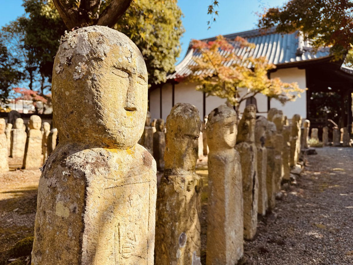 ✨水滴 春日神鹿✨ 🌸春日 on X