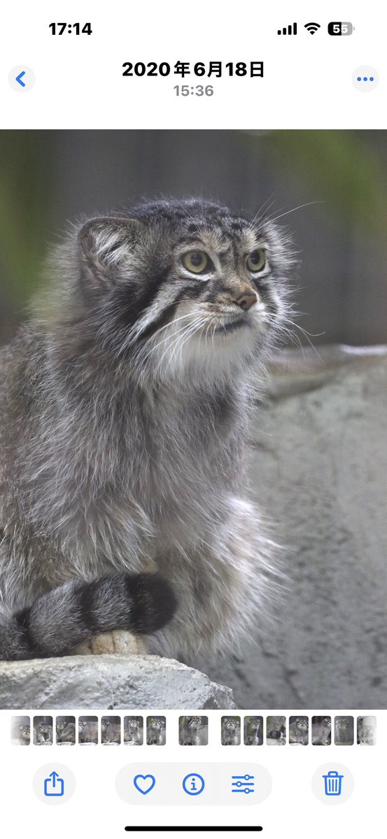 tama (@tama080707) / Posts / X