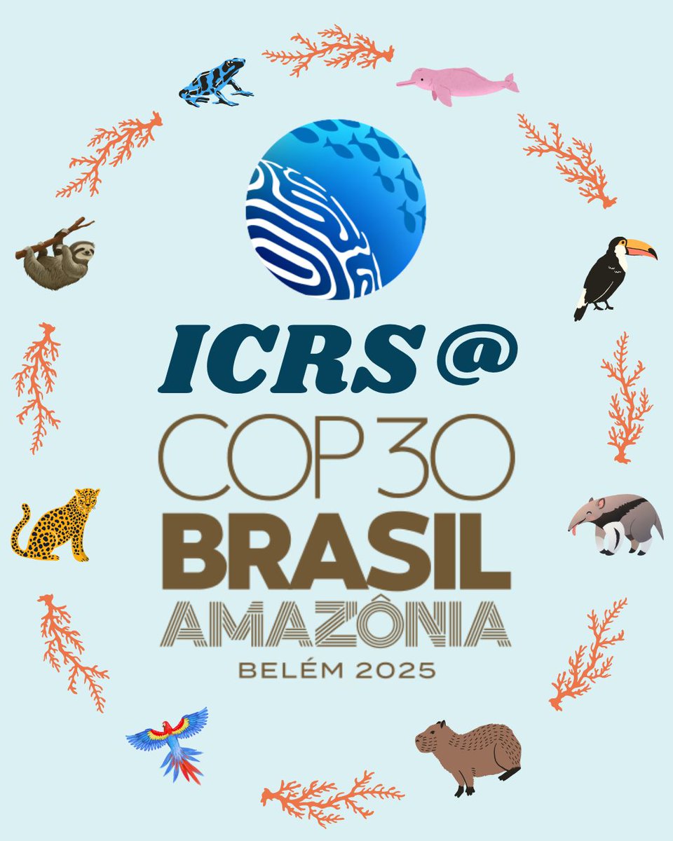 ICRSCoralReefs's tweet image. 🌍✨ Join ICRS at COP30 in Belém, Brazil! ✨🌍 As the world gathers to take decisive climate action, the ICRS will be hosting a series of events that spotlight the ocean’s vital role in our shared future. 🌊💙
#COP30 #ICRS #ClimateAction #CoralReefs #Belém2025