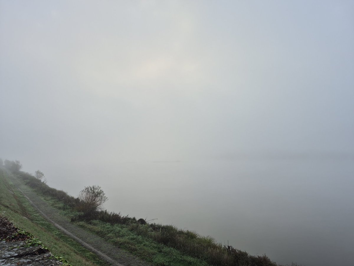 Brouillard, vous avez dit brouillard....