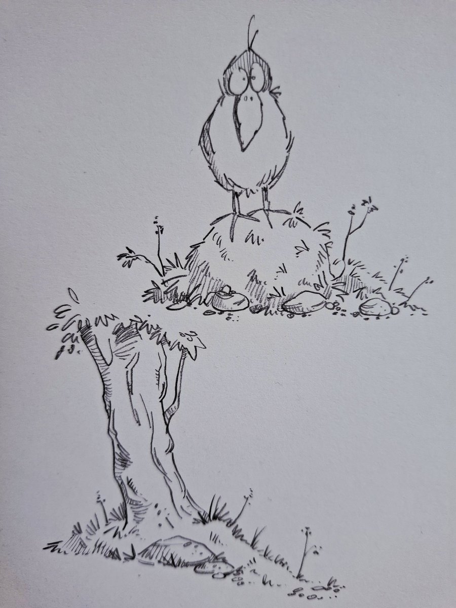 sketchbook corner: birds &amp; trees