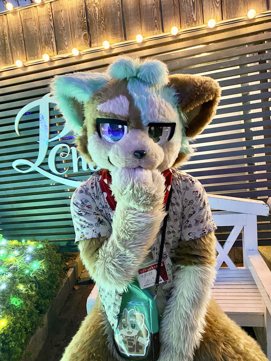 fukuminkokko1's tweet photo. #kemocon18
ミンティ〜🌱 https://t.co/PIUFR6Vnr8