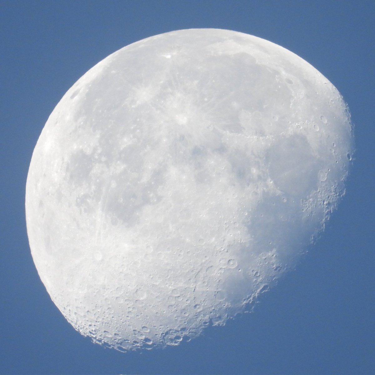 FunkyAppleTree's tweet image. Good Mooning from SW London! 80% illuminated 🌖 @StormHour @ThePhotoHour #loveukweather