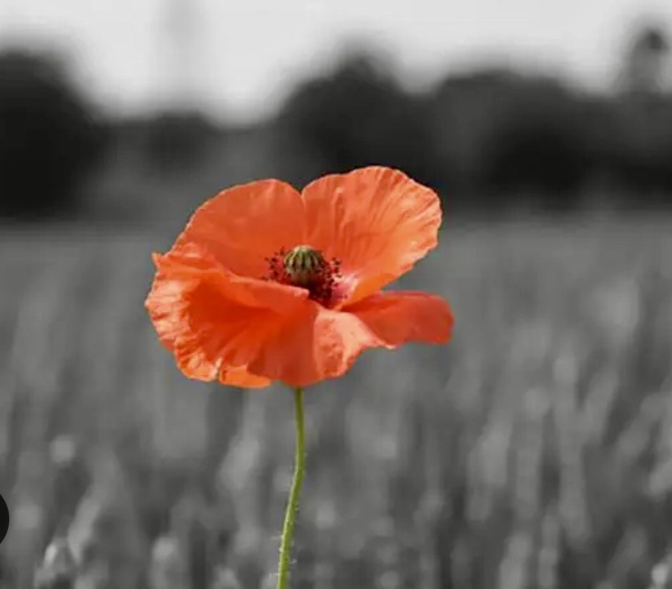 We will remember them
.
#RemembranceSunday
