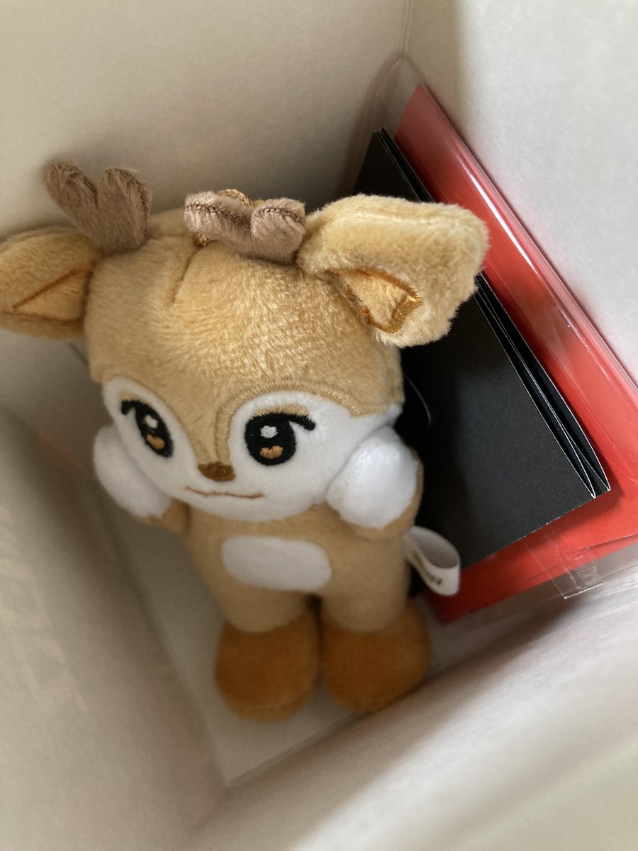 ayacoco02's tweet photo. NEXZ 交換

譲　レンチキュラーカード　トモヤ
　　ユニット（写真のもの）
　　NEXZOO セイディ

求　レンチキュラーカード　ヒュイ
　　ユニット　ユウハル
　　NEXZOO ヒュロミ

郵送交換できる方がいらっしゃいましたらよろしくお願いいたします🙇
（11/20〜25の間渋谷横浜での交換も可能です） https://t.co/l9Y6ggfu8K